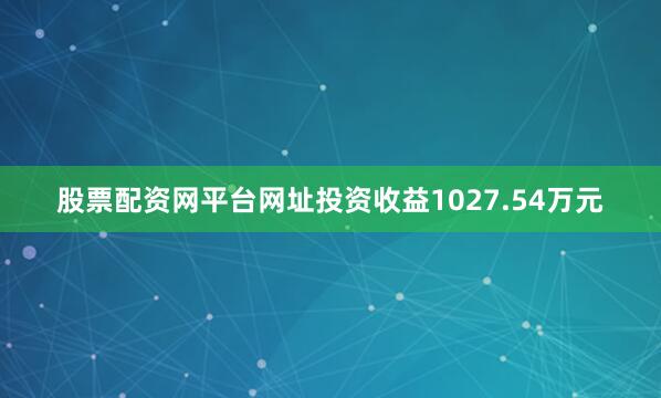 股票配资网平台网址投资收益1027.54万元