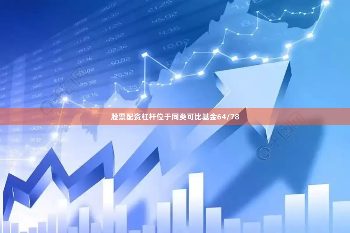 股票配资杠杆位于同类可比基金64/78