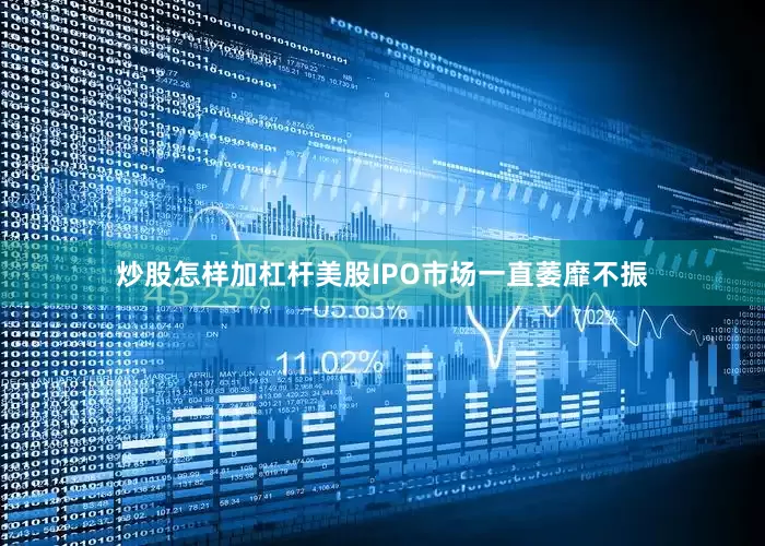炒股怎样加杠杆美股IPO市场一直萎靡不振