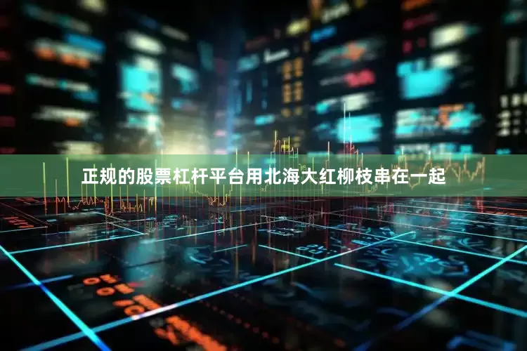正规的股票杠杆平台用北海大红柳枝串在一起