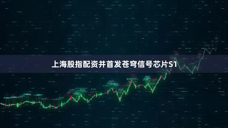 上海股指配资并首发苍穹信号芯片S1